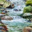 November- Brook-N-McLean WC