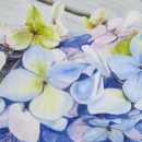 Nancy McLean Watercolours-Endless Summer Hydrangea.JPG