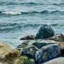 Ripples-And-Rocks-N-McLean-WC