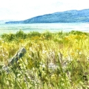 Driftwood -Marks -The- Path-N-McLean WC