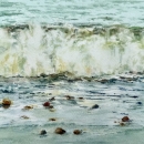 Surfing -to -Shore=N-Mclean-WC